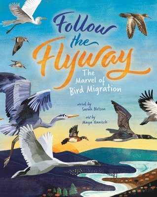 Follow the Flyway: The Marvel of Bird Migration 1