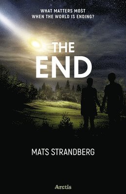 The End 1