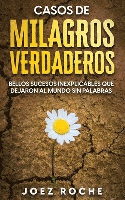 bokomslag Casos de Milagros Verdaderos