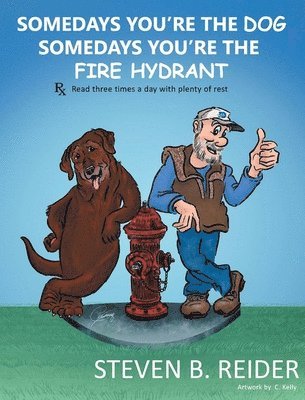 bokomslag Somedays You're the Dog, Somedays You're the Fire Hydrant