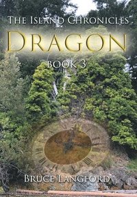 bokomslag Dragon