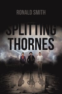 bokomslag Splitting Thornes