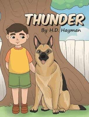 bokomslag Thunder