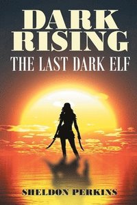 bokomslag Dark Rising