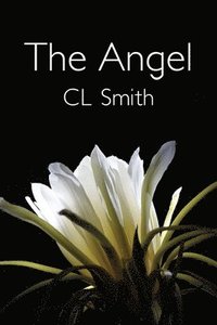 bokomslag The Angel