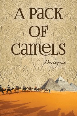 A Pack of Camels 1