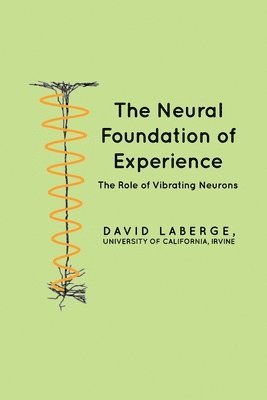 bokomslag The Neural Foundation of Experience: The Role of Vibrating Neurons