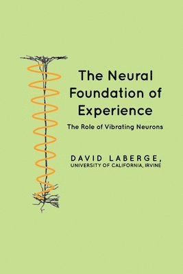 The Neural Foundation of Experience: The Role of Vibrating Neurons