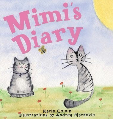 bokomslag Mimi's Diary