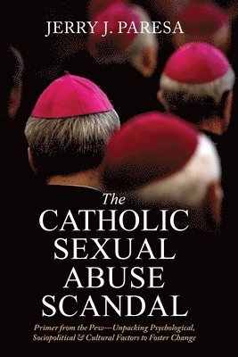bokomslag Catholic Sexual Abuse Scandal