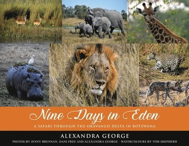 bokomslag Nine Days in Eden: A Safari through the Okavango Delta in Botswana