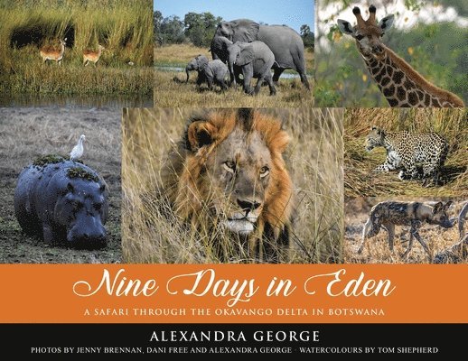 Nine Days in Eden: A Safari through the Okavango Delta in Botswana 1