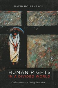 bokomslag Human Rights in a Divided World