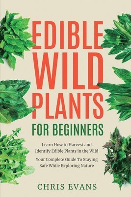 Edible Wild Plants for Beginners 1