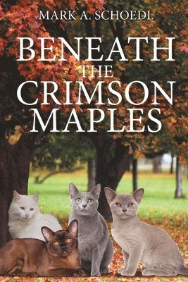 Beneath the Crimson Maples 1