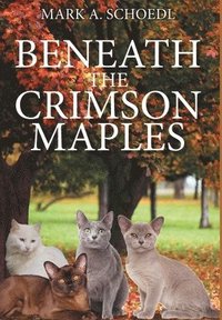 bokomslag Beneath the Crimson Maples