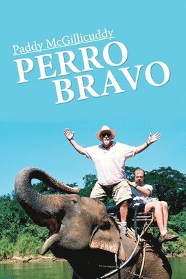bokomslag Perro Bravo