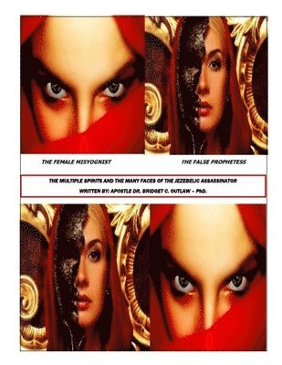 Apostle Bridget Outlaw, Apostle Dr. Bridget Outlaw - Multiple Spirits and the Many Faces of the Jezebelic Assassinator, Häftad
