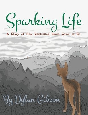 Sparking Life 1