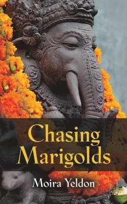 Chasing Marigolds 1