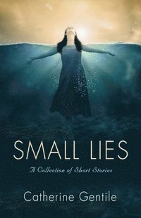 bokomslag Small Lies