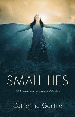bokomslag Small Lies