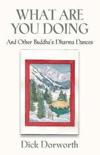 bokomslag WHAT ARE YOU DOING? And Other Buddha's Dharma Dances