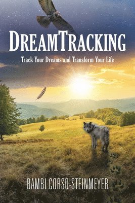 bokomslag DreamTracking