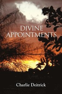 bokomslag Divine Appointments