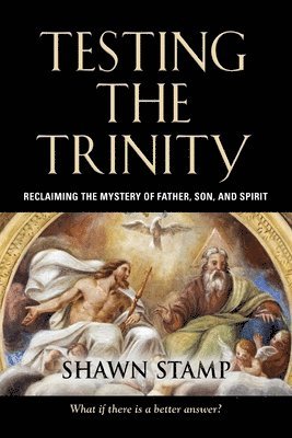 bokomslag Testing the Trinity: Reclaiming the Mystery of Father, Son, and Spirit