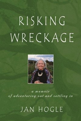 bokomslag Risking Wreckage