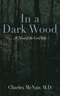 bokomslag In a Dark Wood
