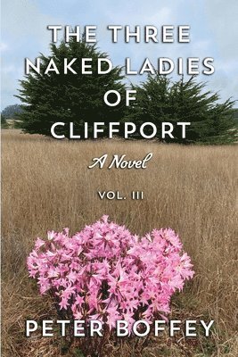 bokomslag The Three Naked Ladies of Cliffport