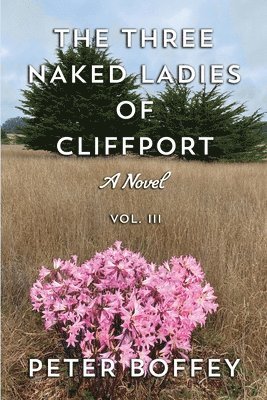 Peter Boffey - Three Naked Ladies of Cliffport, Häftad