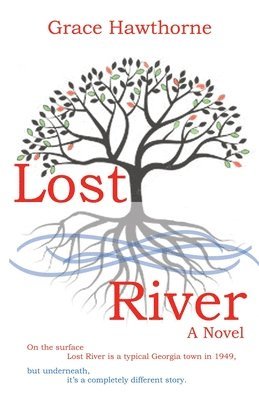 bokomslag Lost River