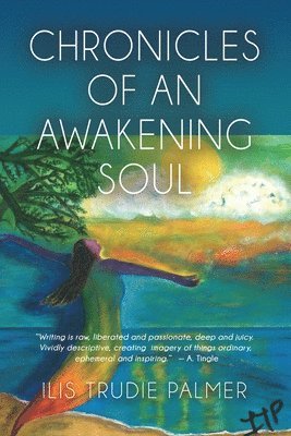 Ilis Trudie Palmer, Trudie Palmer, Ilis - Chronicles of an Awakening Soul, Häftad