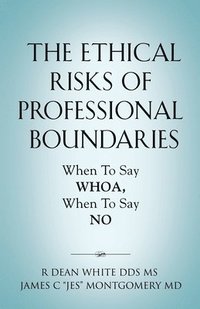 bokomslag The Ethical Risks of Professional Boundaries