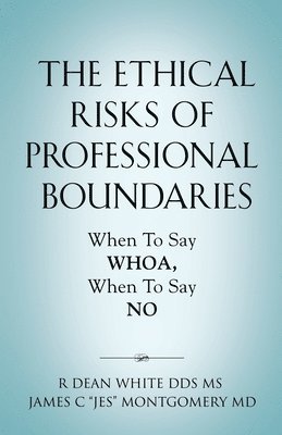 bokomslag The Ethical Risks of Professional Boundaries