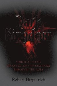 bokomslag Dark Kingdom