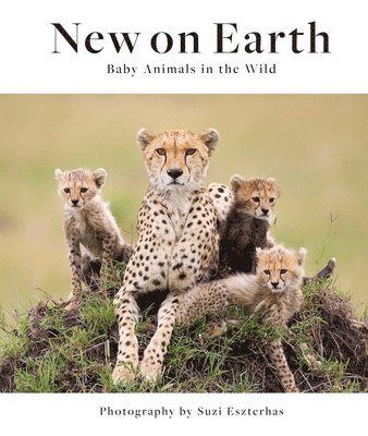 bokomslag New on Earth