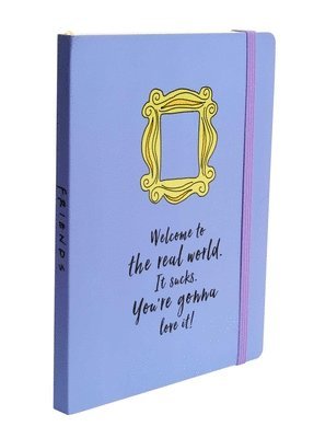 bokomslag Friends: Yellow Frame Softcover Notebook