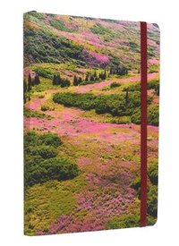 bokomslag Refuge:¿Purple Fireweed Softcover Notebook