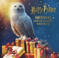 bokomslag Harry Potter: Hedwig Pop-Up Advent Calendar