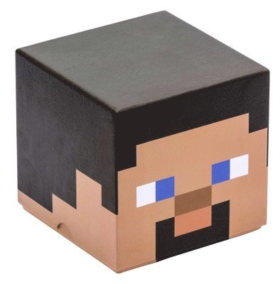 Minecraft: Steve Block Stationery Set