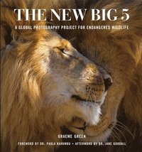 bokomslag The New Big Five