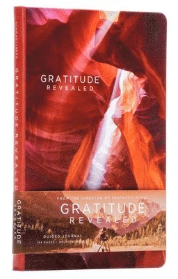 bokomslag Gratitude Revealed Journal