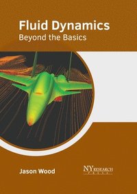 bokomslag Fluid Dynamics: Beyond the Basics