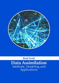 bokomslag Data Assimilation: Methods, Modeling and Applications