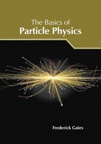 bokomslag The Basics of Particle Physics