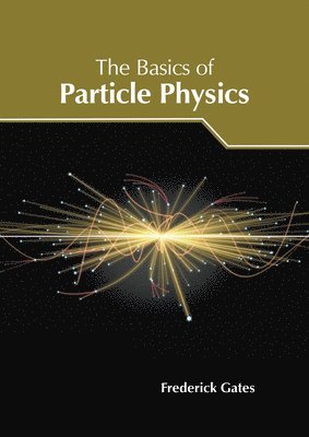 bokomslag The Basics of Particle Physics